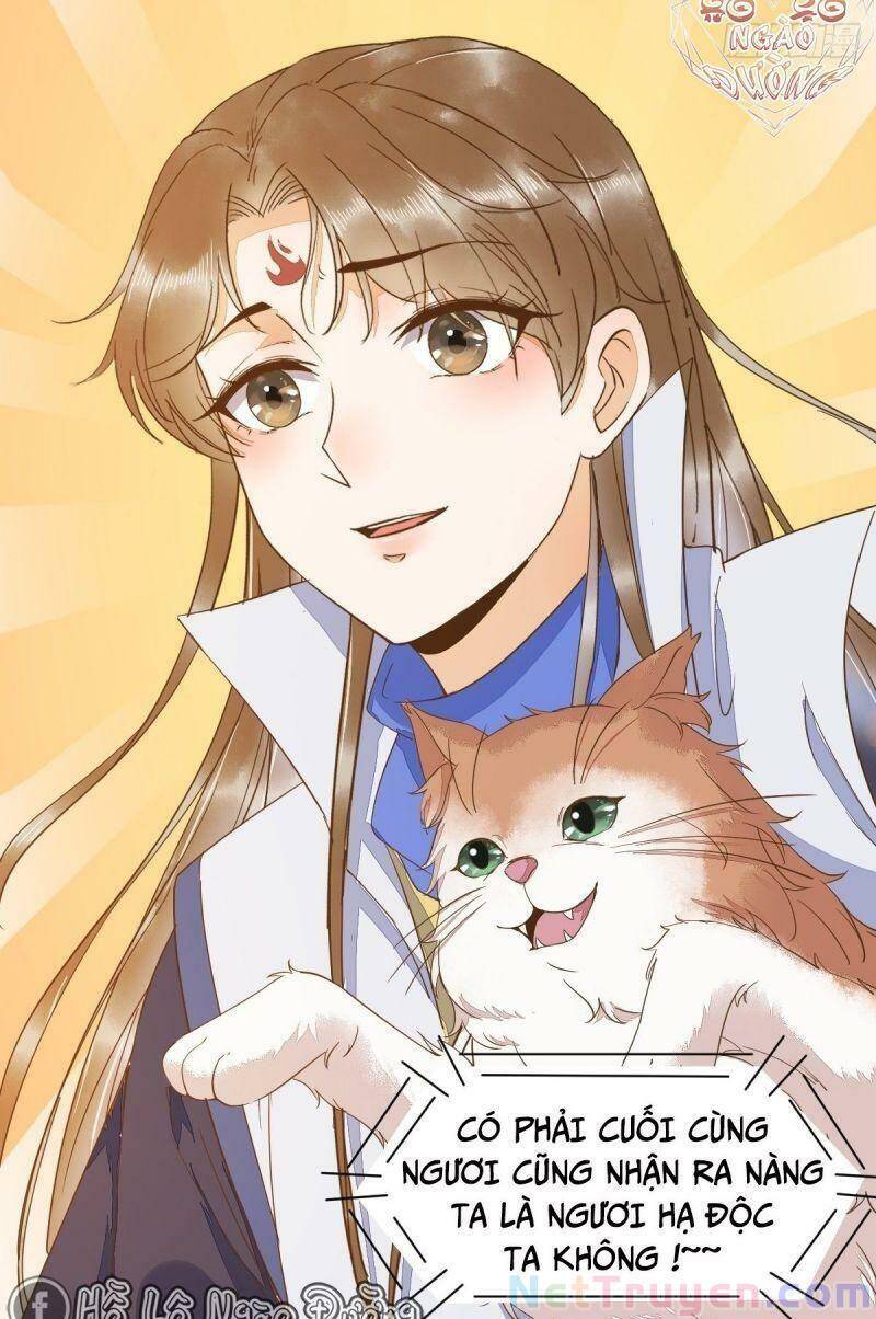 Sát Thủ Vương Phi Không Dễ Chọc Chapter 46 - Trang 2