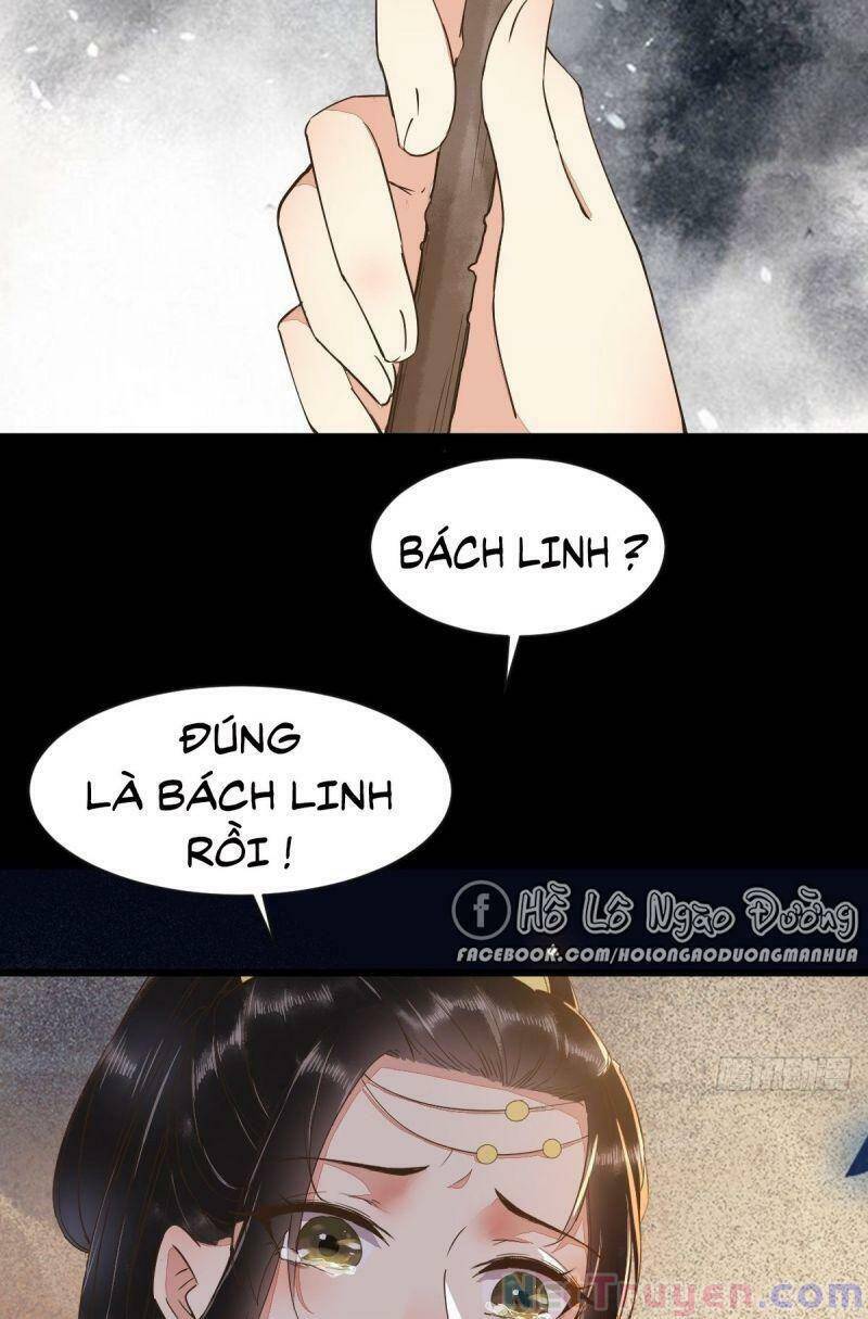 Sát Thủ Vương Phi Không Dễ Chọc Chapter 46 - Trang 2