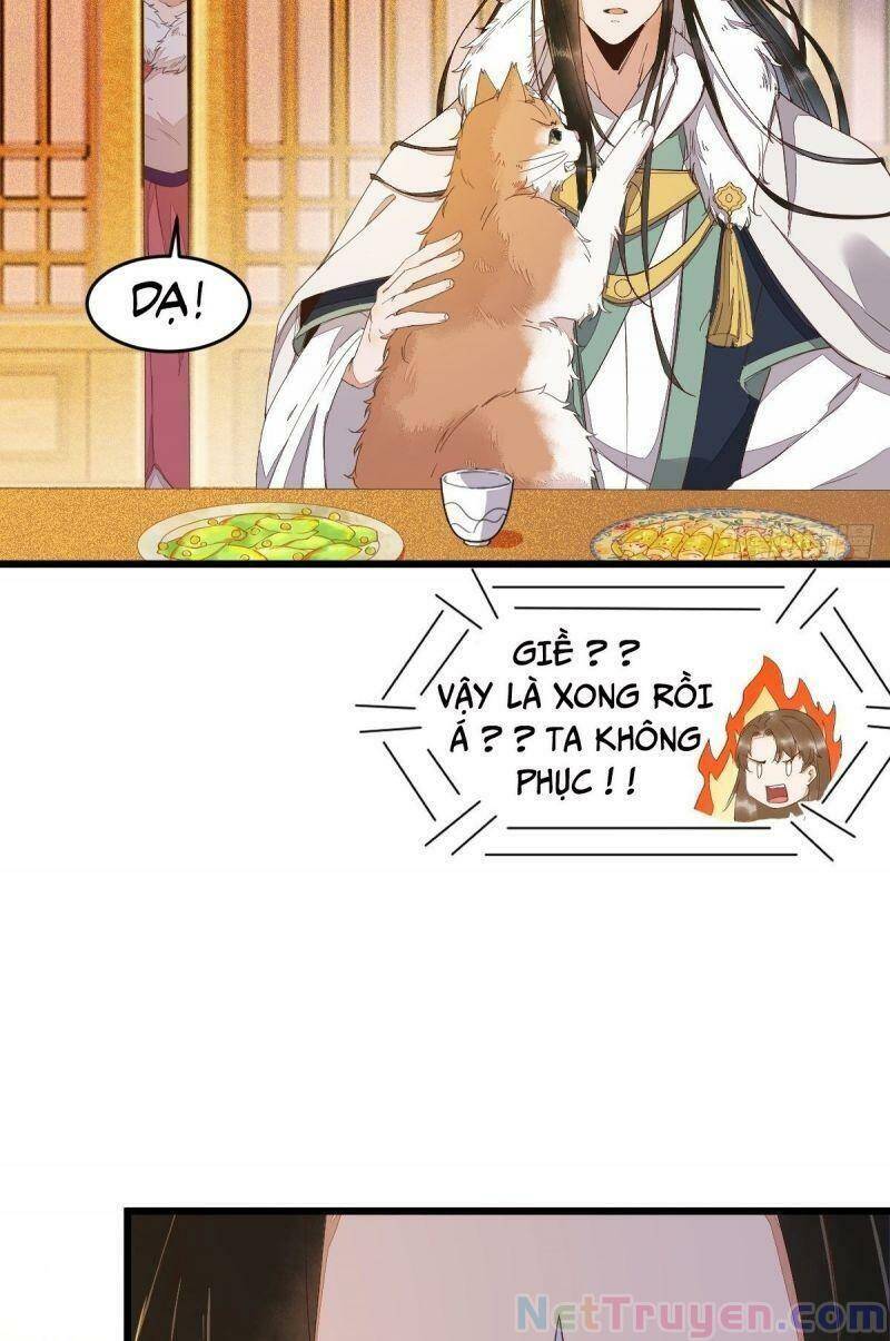 Sát Thủ Vương Phi Không Dễ Chọc Chapter 46 - Trang 2