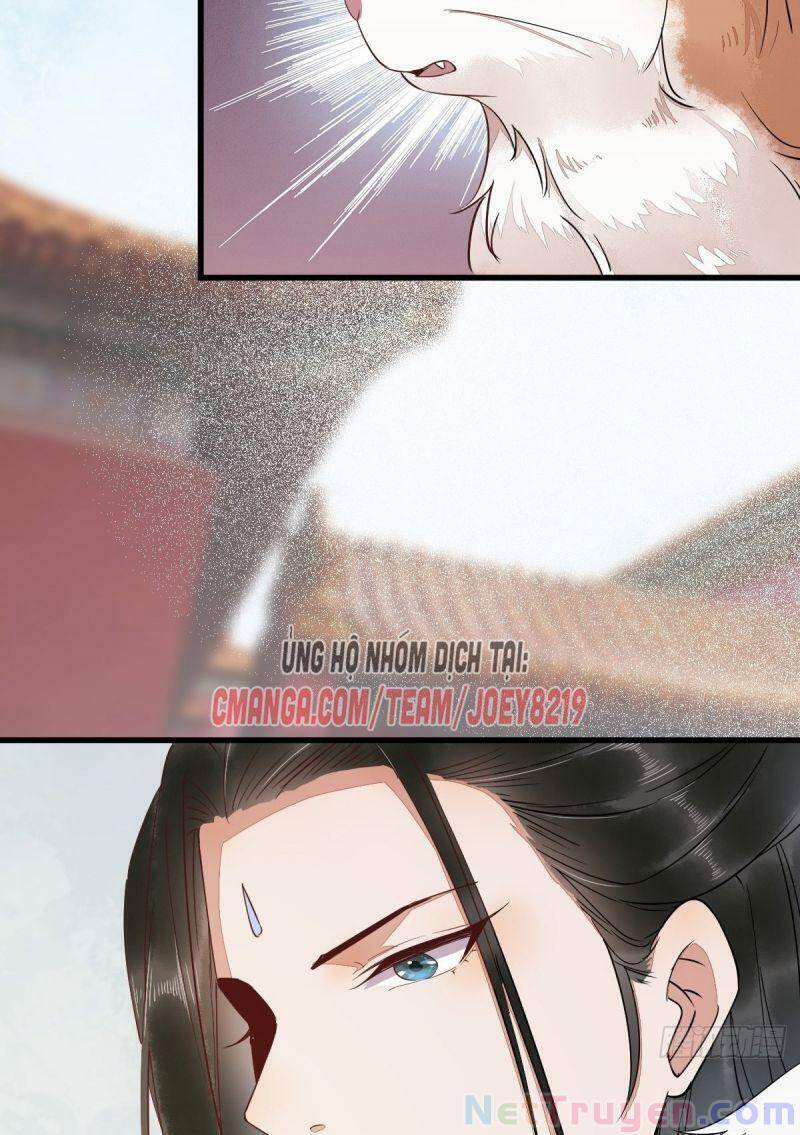 Sát Thủ Vương Phi Không Dễ Chọc Chapter 47 - Trang 2