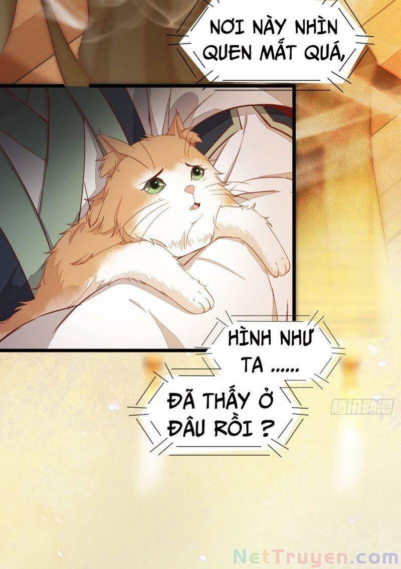 Sát Thủ Vương Phi Không Dễ Chọc Chapter 47 - Trang 2