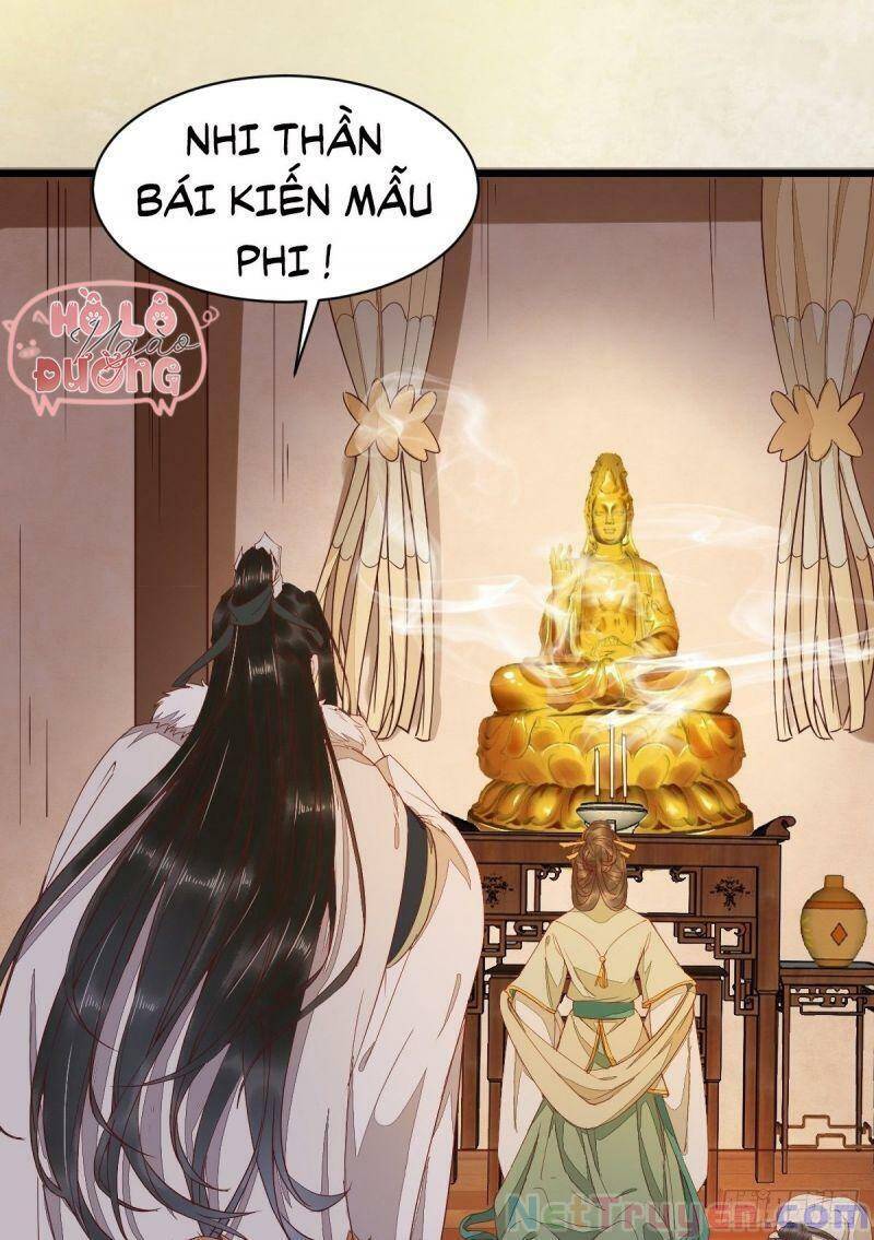 Sát Thủ Vương Phi Không Dễ Chọc Chapter 47 - Trang 2