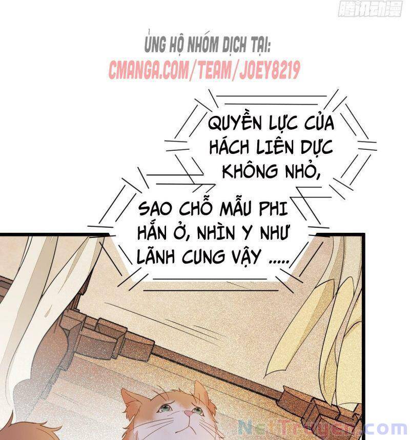 Sát Thủ Vương Phi Không Dễ Chọc Chapter 47 - Trang 2