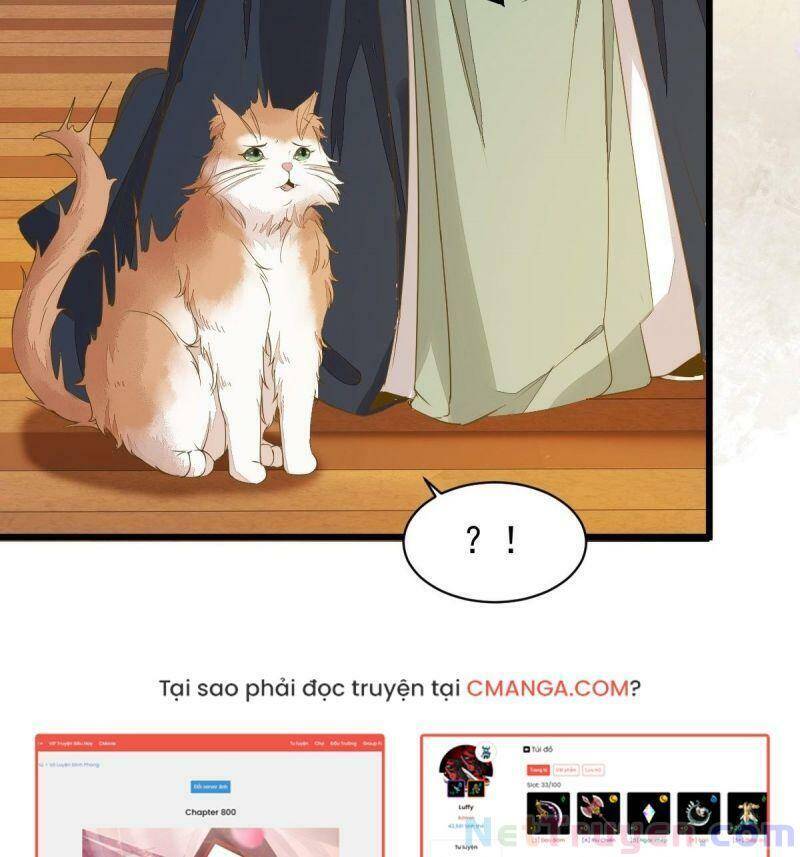 Sát Thủ Vương Phi Không Dễ Chọc Chapter 47 - Trang 2