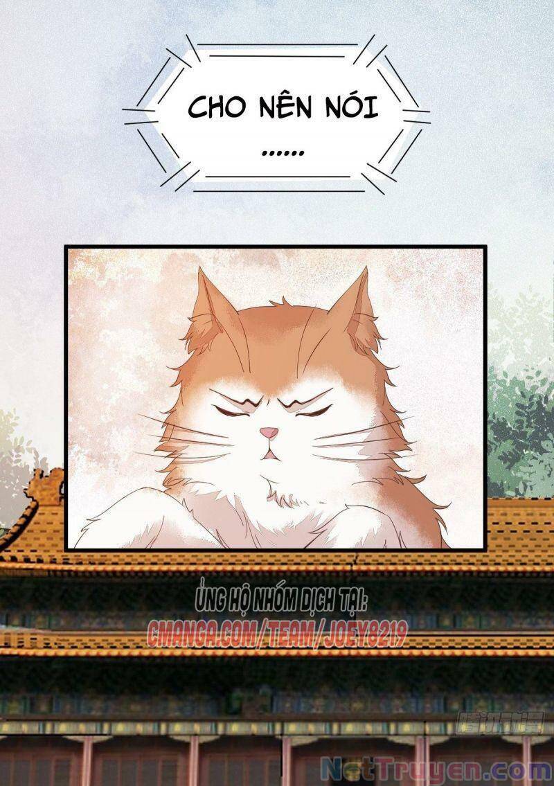 Sát Thủ Vương Phi Không Dễ Chọc Chapter 47 - Trang 2