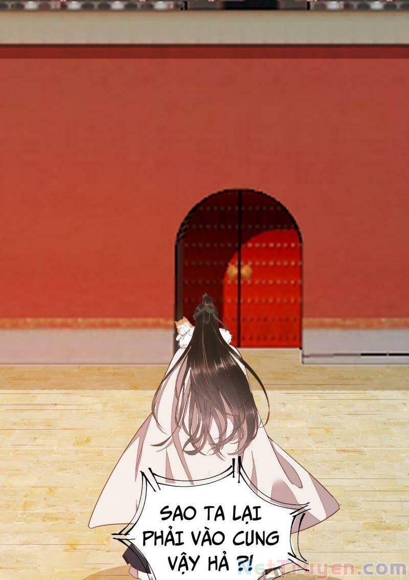 Sát Thủ Vương Phi Không Dễ Chọc Chapter 47 - Trang 2
