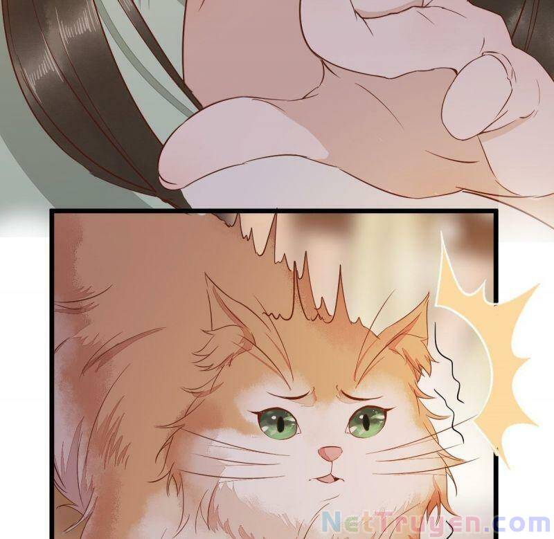 Sát Thủ Vương Phi Không Dễ Chọc Chapter 47 - Trang 2