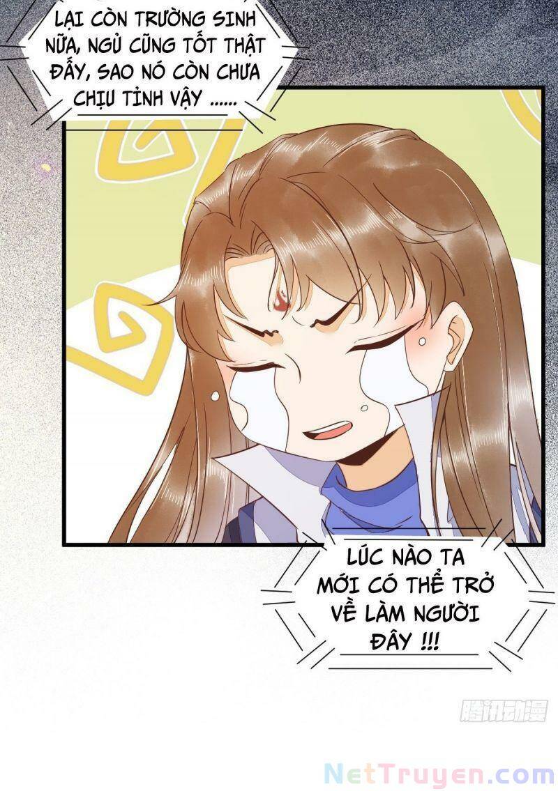 Sát Thủ Vương Phi Không Dễ Chọc Chapter 47 - Trang 2