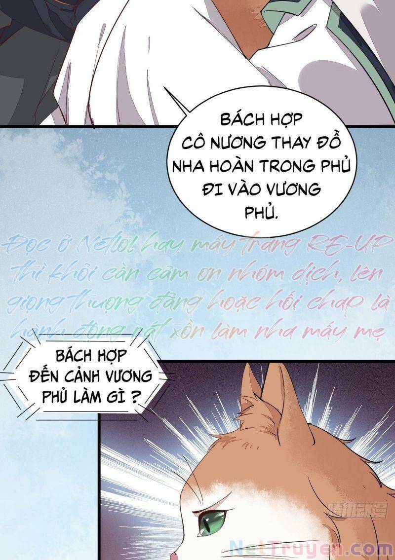 Sát Thủ Vương Phi Không Dễ Chọc Chapter 47 - Trang 2