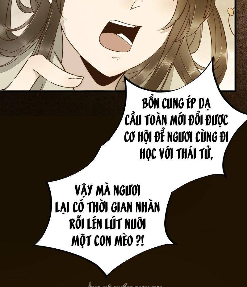 Sát Thủ Vương Phi Không Dễ Chọc Chapter 48 - Trang 2