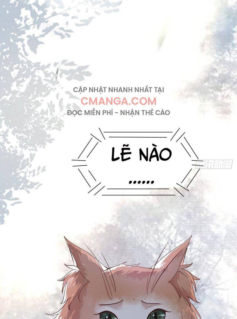 Sát Thủ Vương Phi Không Dễ Chọc Chapter 48 - Trang 2