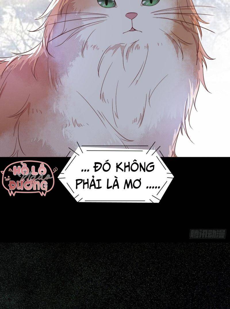 Sát Thủ Vương Phi Không Dễ Chọc Chapter 48 - Trang 2