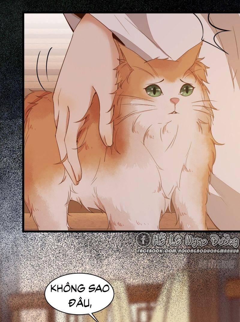 Sát Thủ Vương Phi Không Dễ Chọc Chapter 48 - Trang 2