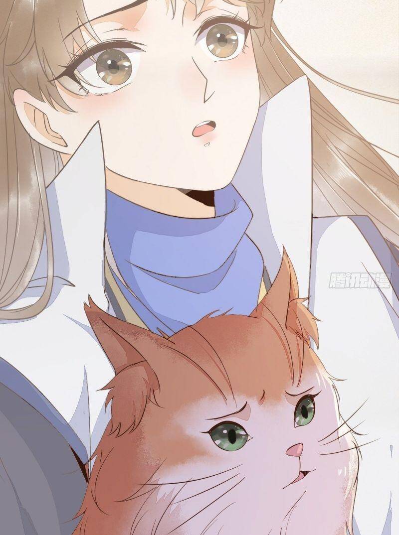 Sát Thủ Vương Phi Không Dễ Chọc Chapter 48 - Trang 2