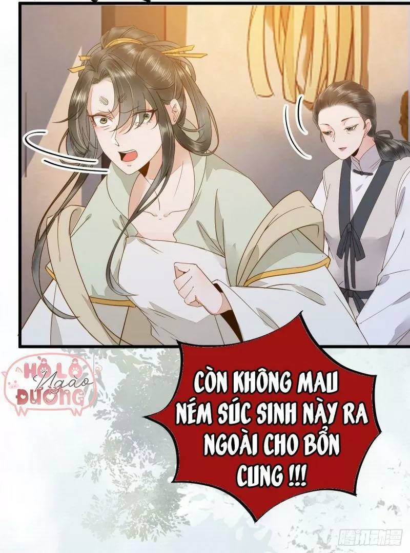 Sát Thủ Vương Phi Không Dễ Chọc Chapter 49 - Trang 2