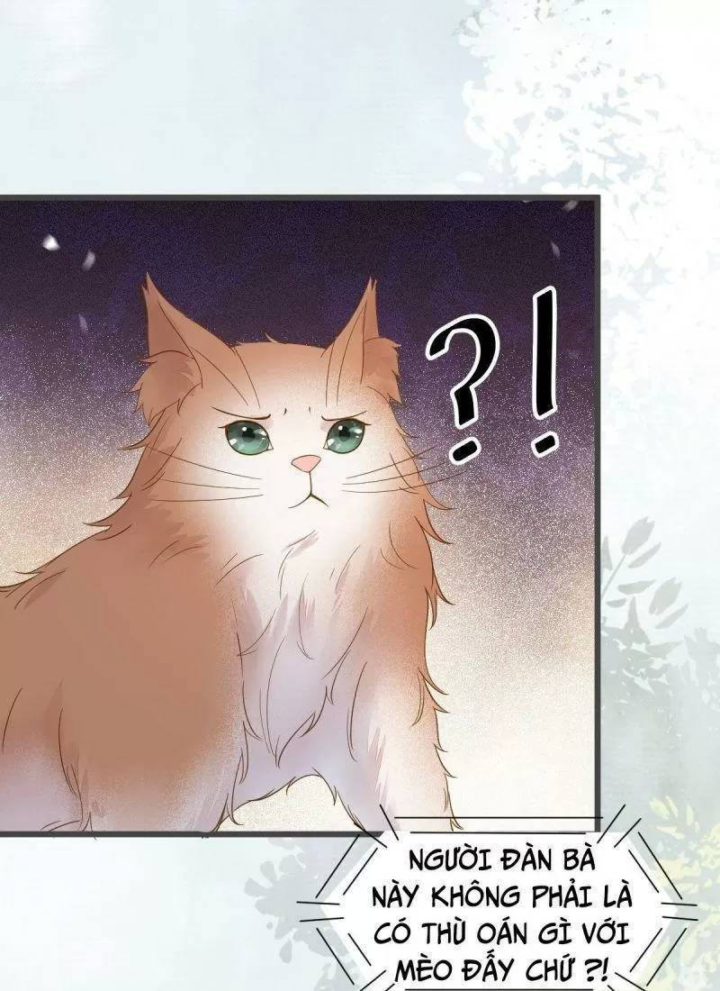 Sát Thủ Vương Phi Không Dễ Chọc Chapter 49 - Trang 2