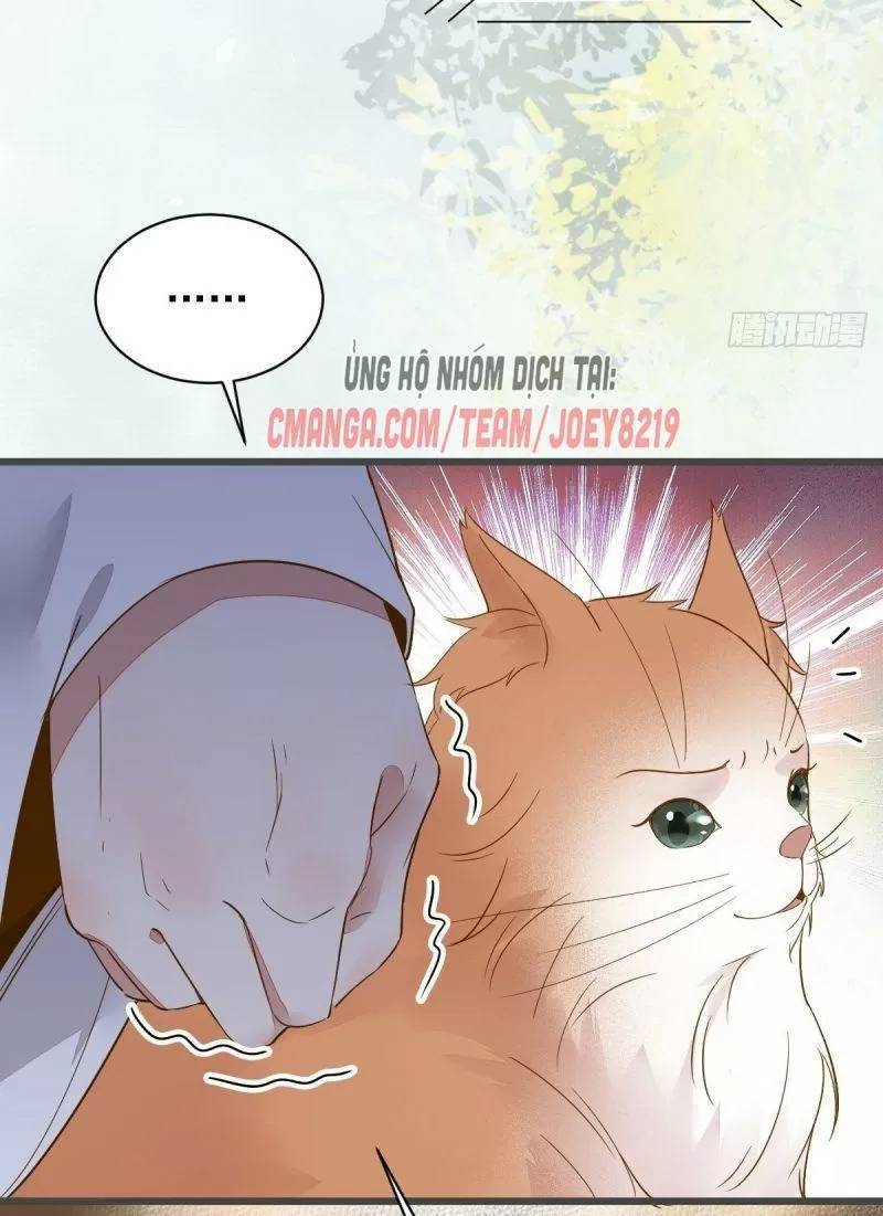 Sát Thủ Vương Phi Không Dễ Chọc Chapter 49 - Trang 2