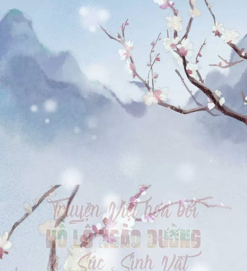 Sát Thủ Vương Phi Không Dễ Chọc Chapter 49 - Trang 2