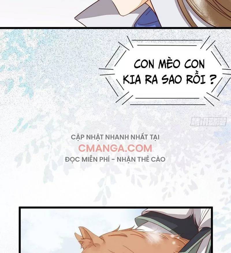 Sát Thủ Vương Phi Không Dễ Chọc Chapter 49 - Trang 2