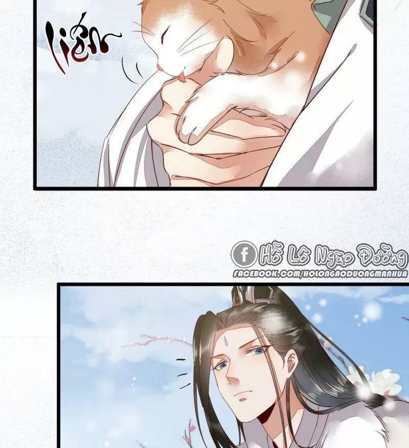 Sát Thủ Vương Phi Không Dễ Chọc Chapter 49 - Trang 2