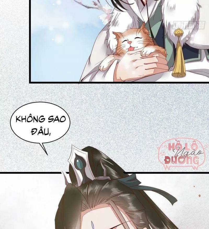 Sát Thủ Vương Phi Không Dễ Chọc Chapter 49 - Trang 2