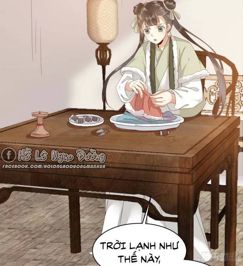 Sát Thủ Vương Phi Không Dễ Chọc Chapter 49 - Trang 2