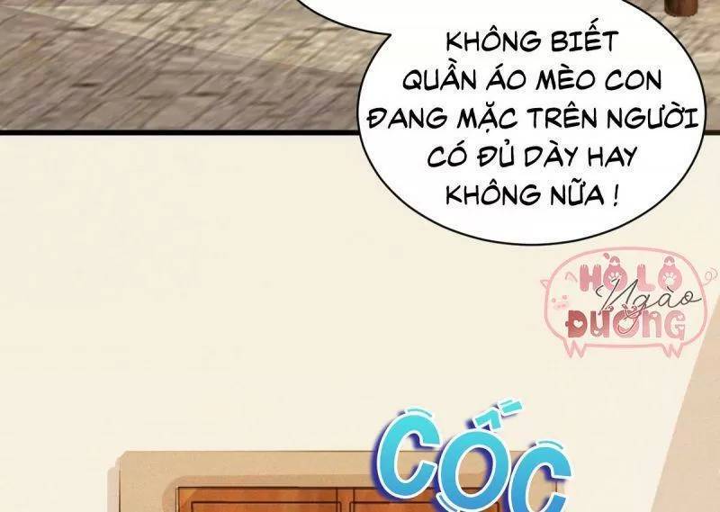 Sát Thủ Vương Phi Không Dễ Chọc Chapter 49 - Trang 2