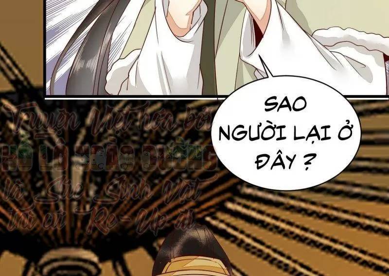 Sát Thủ Vương Phi Không Dễ Chọc Chapter 49 - Trang 2