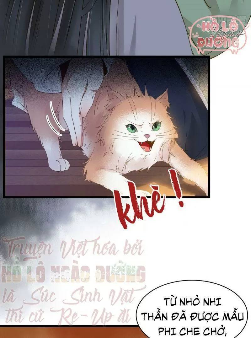 Sát Thủ Vương Phi Không Dễ Chọc Chapter 49 - Trang 2