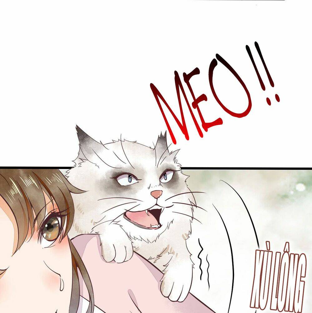 Sát Thủ Vương Phi Không Dễ Chọc Chapter 5.5 - Trang 2