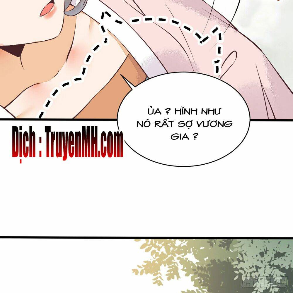 Sát Thủ Vương Phi Không Dễ Chọc Chapter 5.5 - Trang 2