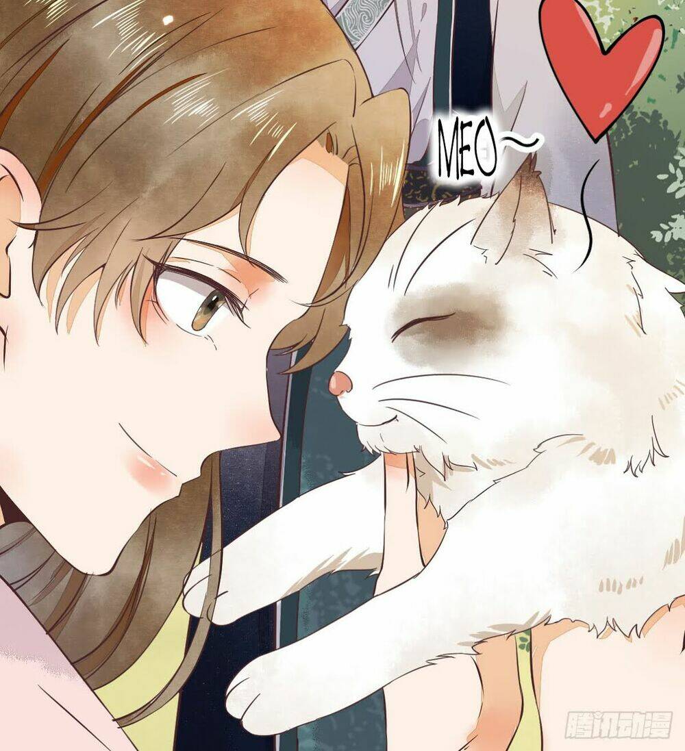 Sát Thủ Vương Phi Không Dễ Chọc Chapter 5.5 - Trang 2