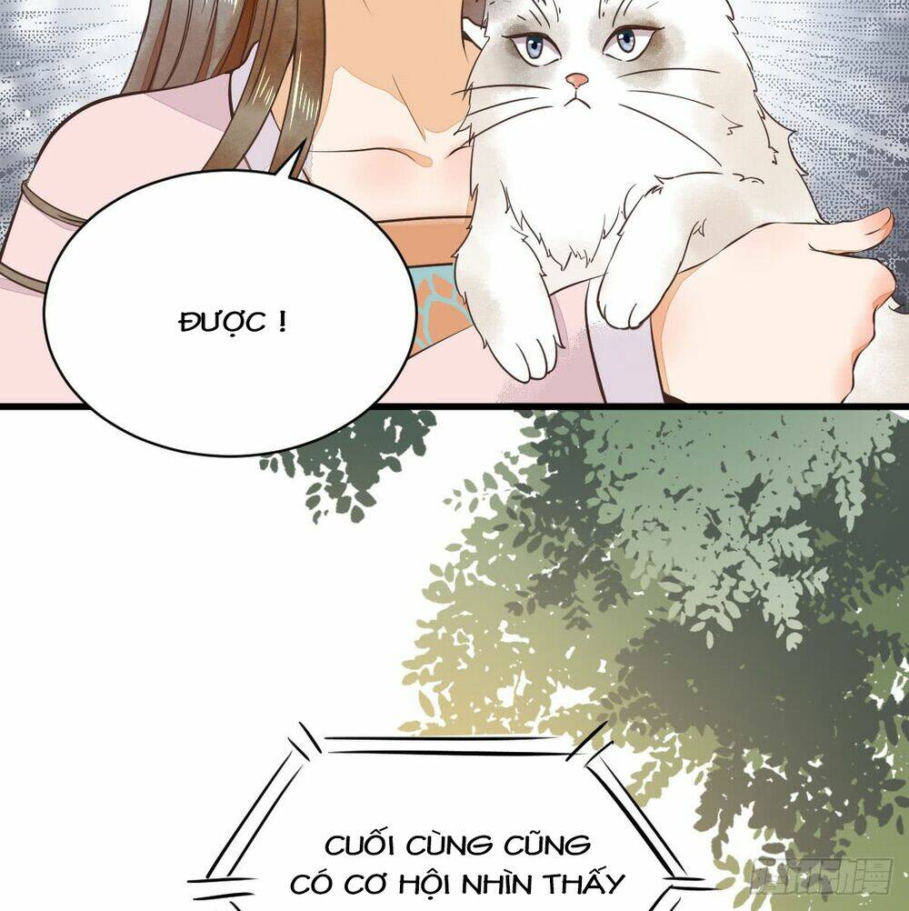 Sát Thủ Vương Phi Không Dễ Chọc Chapter 5.5 - Trang 2