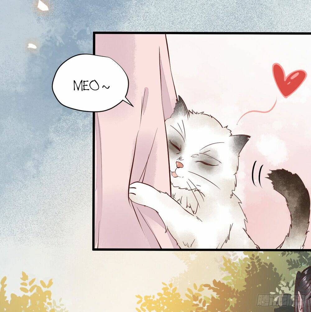 Sát Thủ Vương Phi Không Dễ Chọc Chapter 5.5 - Trang 2