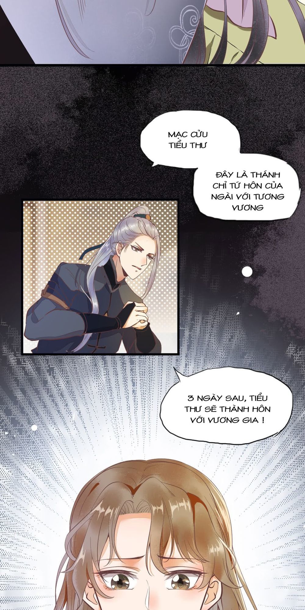 Sát Thủ Vương Phi Không Dễ Chọc Chapter 5 - Trang 2