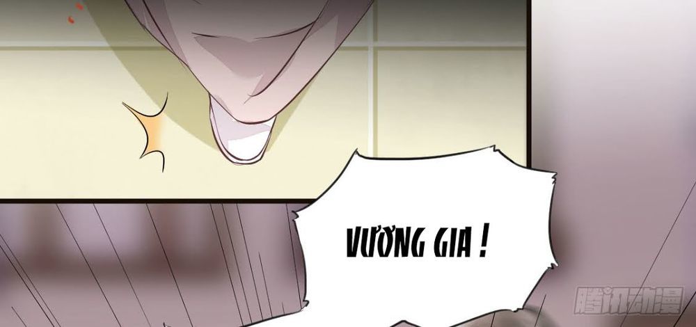 Sát Thủ Vương Phi Không Dễ Chọc Chapter 5 - Trang 2