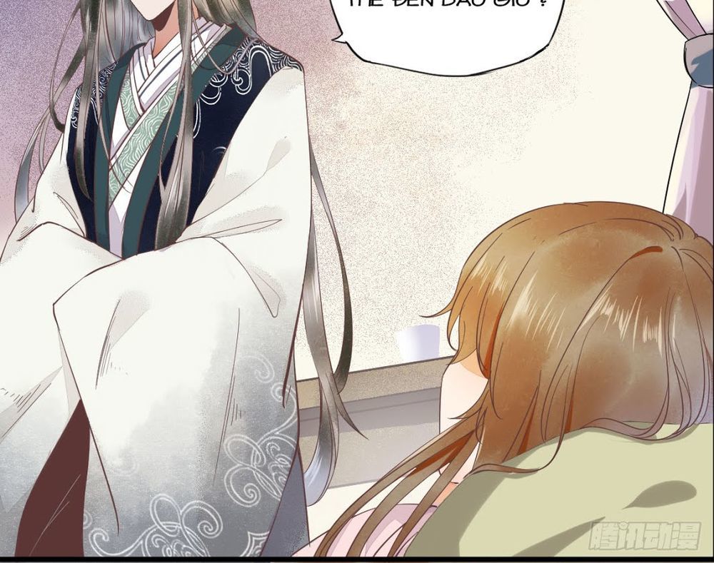 Sát Thủ Vương Phi Không Dễ Chọc Chapter 5 - Trang 2