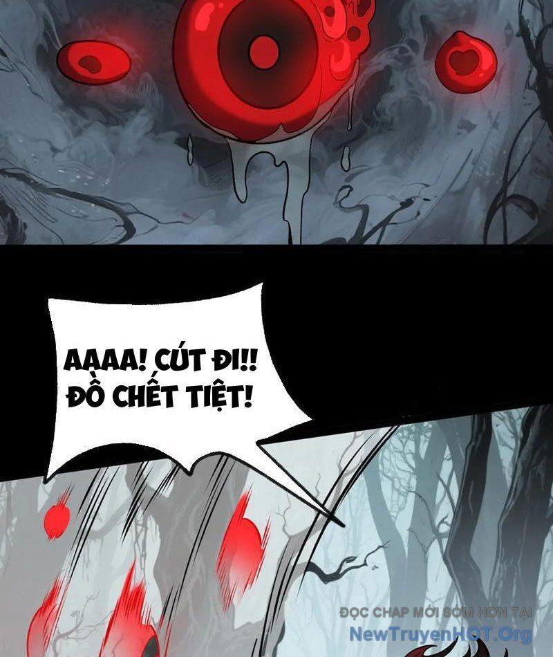 Sau Khi Chia Tay Hoa Khôi, Võ Đạo Của Ta Thẳng Tới Cấp Thần Chapter 21 - Trang 2