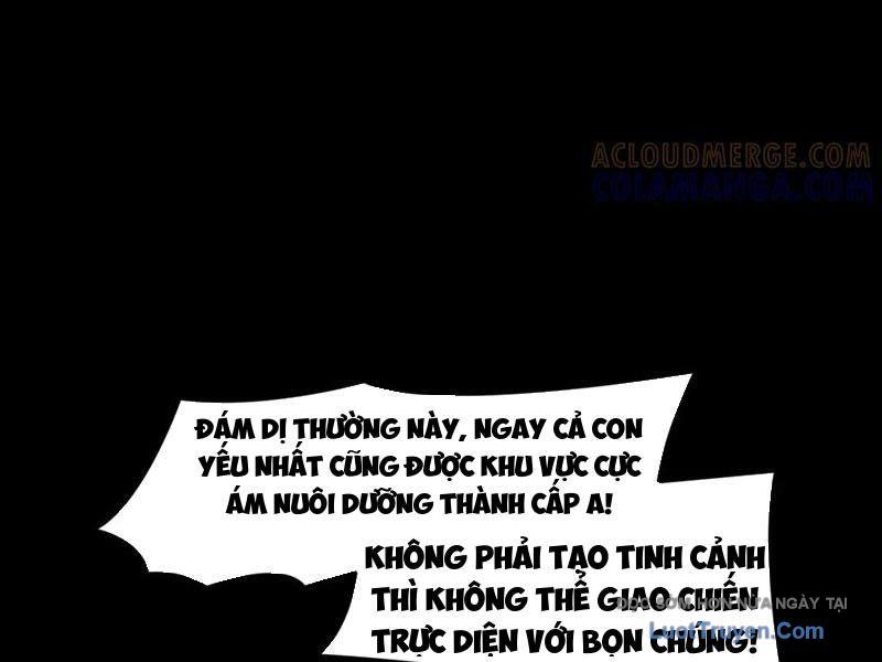Sau Khi Chia Tay Hoa Khôi, Võ Đạo Của Ta Thẳng Tới Cấp Thần Chapter 23 - Trang 2