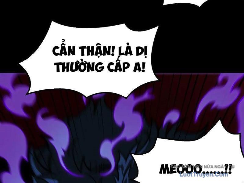 Sau Khi Chia Tay Hoa Khôi, Võ Đạo Của Ta Thẳng Tới Cấp Thần Chapter 23 - Trang 2