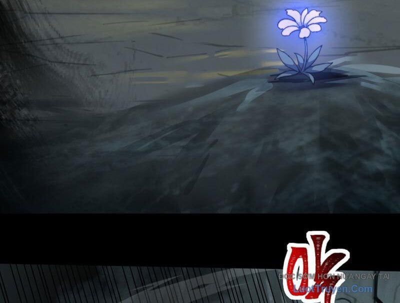 Sau Khi Chia Tay Hoa Khôi, Võ Đạo Của Ta Thẳng Tới Cấp Thần Chapter 26 - Trang 2