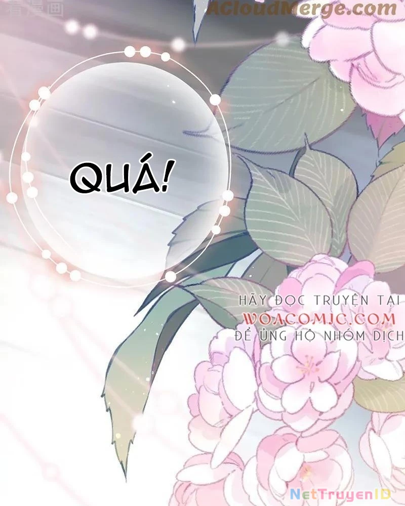 Sau Khi Công Chúa Bội Tình Bạc Nghĩa Chapter 61 - Trang 2