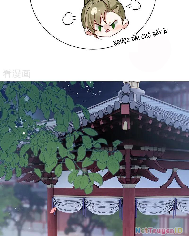 Sau Khi Công Chúa Bội Tình Bạc Nghĩa Chapter 76 - Trang 2