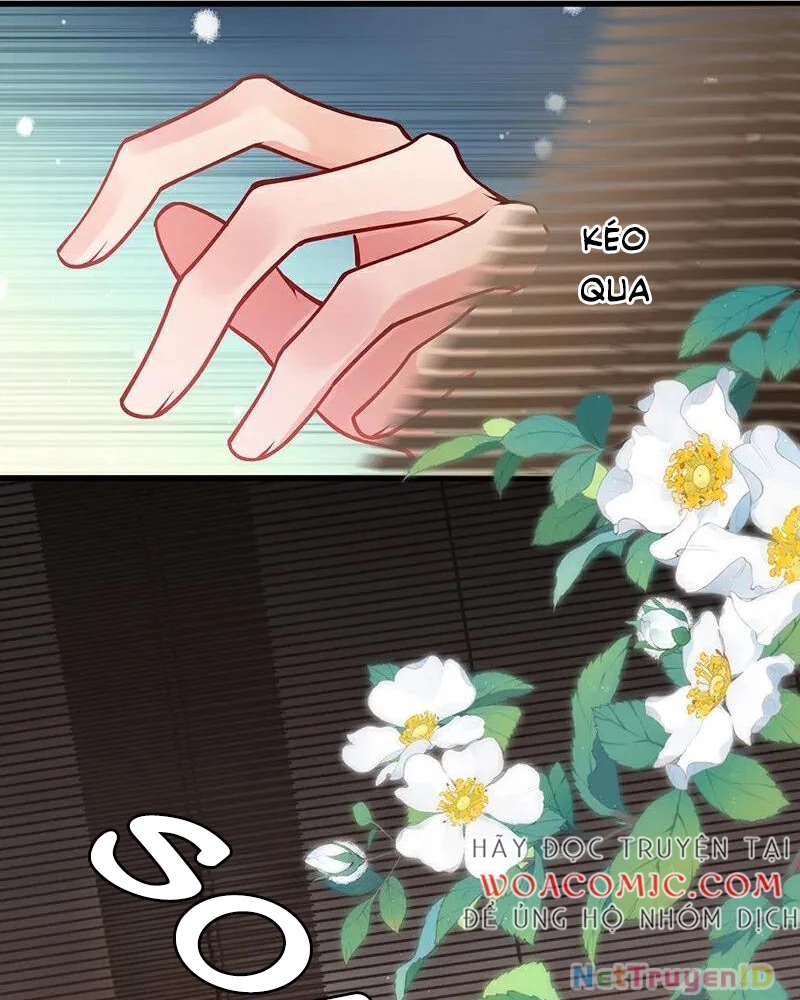 Sau Khi Công Chúa Bội Tình Bạc Nghĩa Chapter 76 - Trang 2