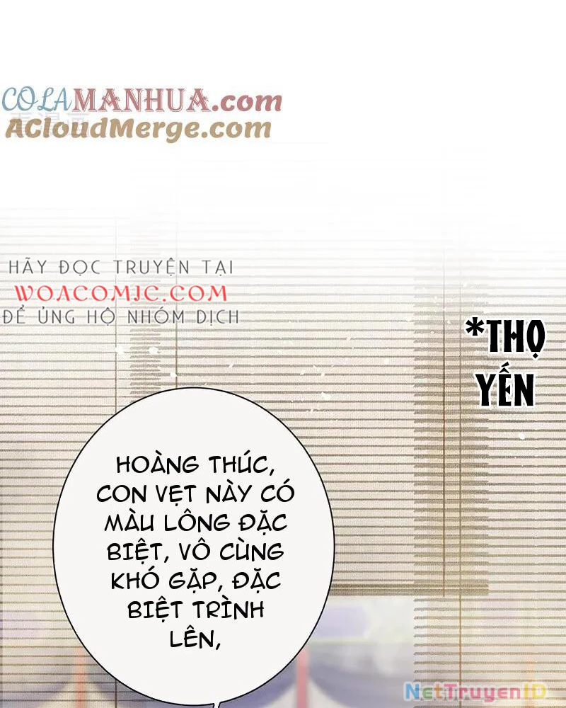 Sau Khi Công Chúa Bội Tình Bạc Nghĩa Chapter 78 - Trang 2