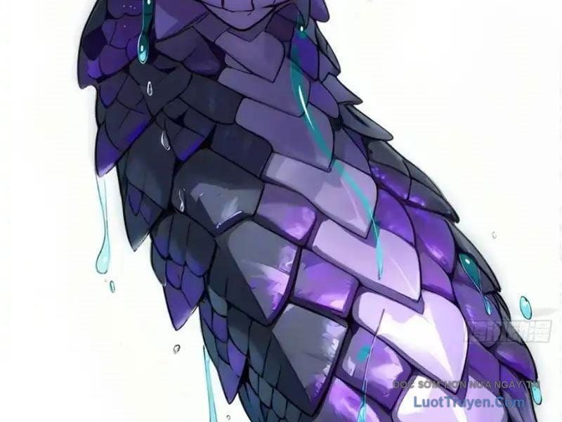 Sau Khi Đầu Thai, Ta Được Kẻ Thù Khắc Thành Vô Địch Chapter 37 - Trang 2