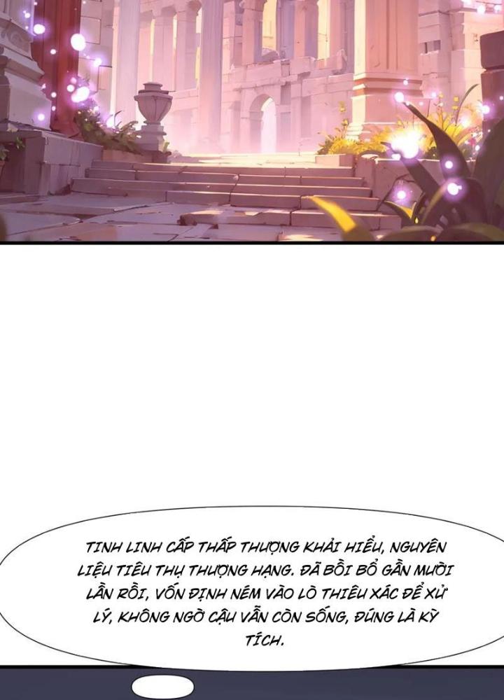 Sau Khi Kết Hợp Với Nữ Thần, Ta Bất Khả Chiến Bại! Chapter 49 - Trang 2