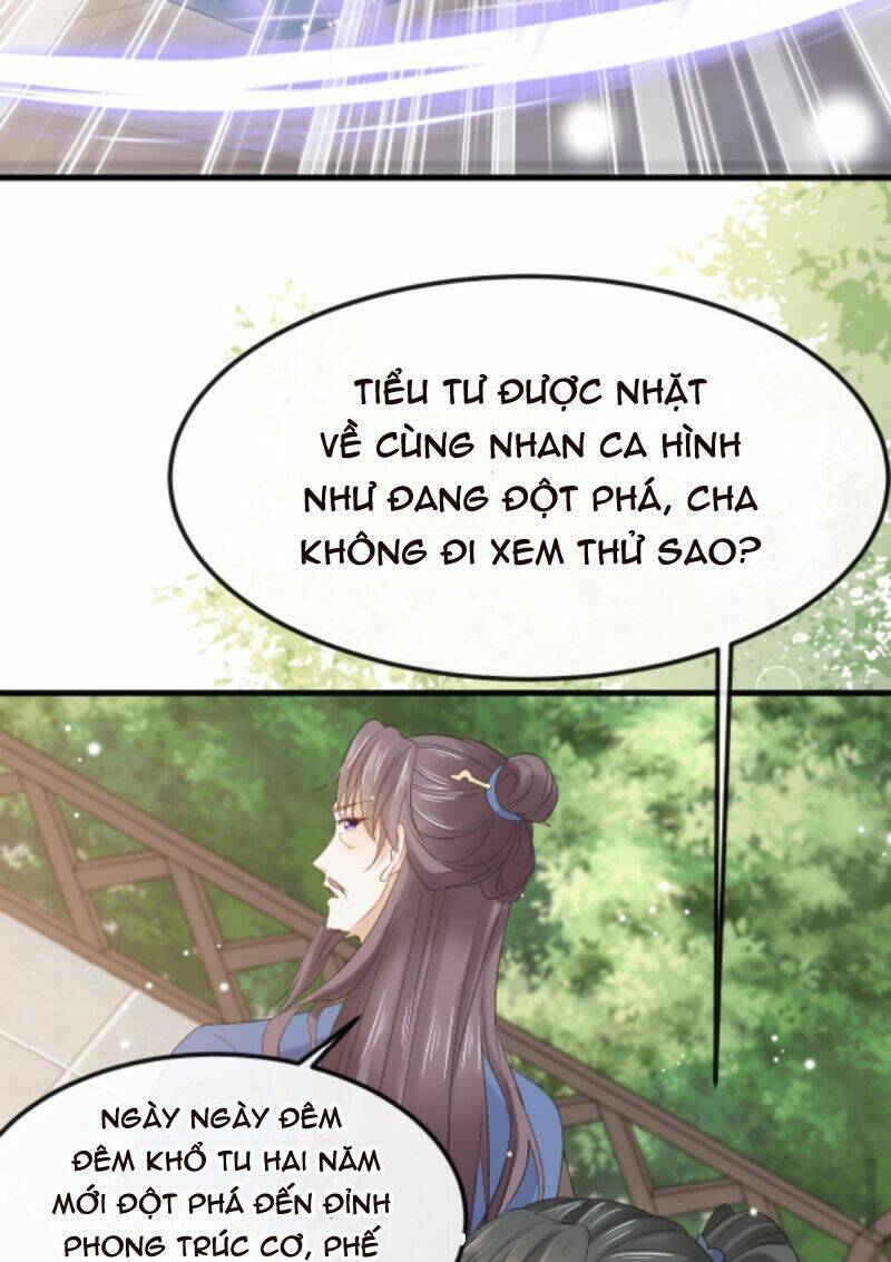 Sau Khi Không Ngừng Tìm Đường Chết, Ta Trở Thành Đế Tôn Vạn Người Mê Chapter 31 - Trang 2