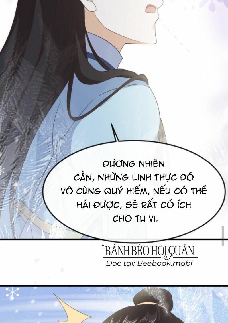 Sau Khi Không Ngừng Tìm Đường Chết, Ta Trở Thành Đế Tôn Vạn Người Mê Chapter 42 - Trang 2