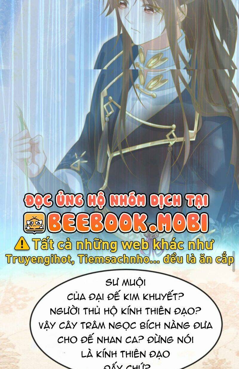 Sau Khi Không Ngừng Tìm Đường Chết, Ta Trở Thành Đế Tôn Vạn Người Mê Chapter 50 - Trang 2